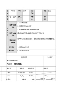 【备战2024年】人教版化学九年级一轮复习盐、化肥复习教案