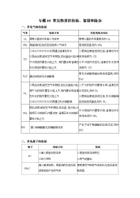 【备战2024中考】一轮复习 初中化学 必备知识点专题09 常见物质的检验、鉴别和除杂-知识点清单