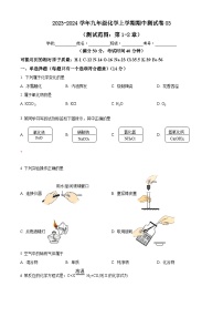 期中测试卷03（测试范围：第1-2章）-九年级化学第一学期同步讲与练（沪教版·上海）