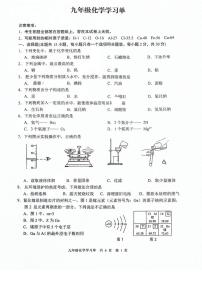 江苏南京玄武区2023-2024九年级上学期期末化学试卷及答案