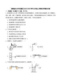 湖南省长沙市岳麓区2023-2024学年九年级上学期化学期末试卷