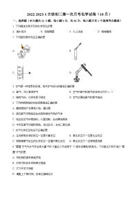 2023-2024学年湖南省长沙市开福区立信中学九年级上学期第一次月考（10月）化学试题