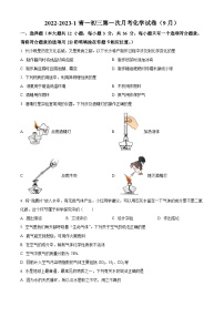 2023-2024学年湖南省长沙市开福区青竹湖湘一外国语学校九年级第一次月考（9月）化学试题