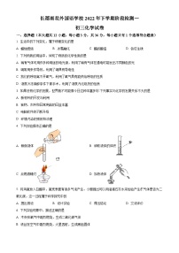 2023-2024学年湖南省长沙市长郡雨花外国语学校九年级上学期第一次月考化学试题