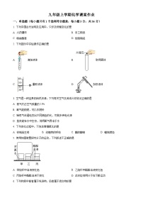 2023-2024学年湖南省长沙市中雅培粹学校九年级上学期第一次月考化学试题