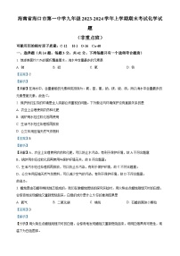 海南省海口市第一中学2023-2024学年九年级上学期期末化学试题（非重点班）