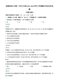 海南省海口市第一中学2023-2024学年九年级上学期期末化学试题（非重点班）