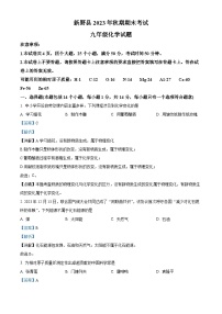 河南省南阳市新野县2023-2024学年九年级上学期期末考试化学试卷