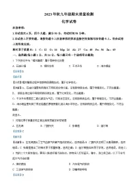 河南省商丘市柘城县2023-2024学年九年级上学期1月期末化学试题