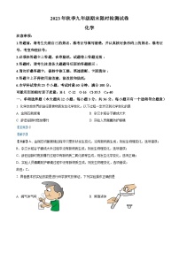 湖南省长沙市长郡教育集团联考2023-2024学年九年级上学期期末化学试题