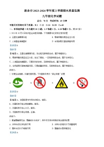 江西省新余市2023-2024学年九年级上学期期末化学试题