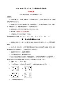 2023-2024学年人教版九年级上学期化学期中考前必刷卷（含答案解析）