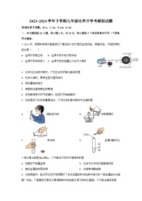 湖北省黄石市阳新县陶港镇初级中学2023_2024学年九年级下学期化学开学考模拟试题