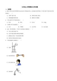 广西壮族自治区九年级上学期期末化学试题八套（附参考答案）