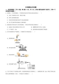 广东省深圳市中考模拟化学试题七套（附参考答案）