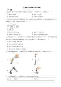 安徽省合肥市九年级上学期期末化学试题十套（附参考答案）