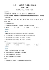 河南省安阳市林州市原康乡第一中学创新班2023-2024学年九年级上学期期末考试化学试题