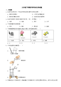 山东省青岛市2024年九年级下学期开学考试化学试题附参考答案