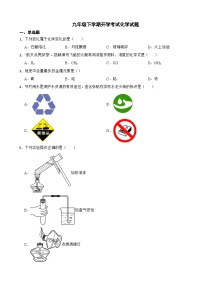 山东省青岛市市2024年九年级下学期开学考试化学试题附参考答案