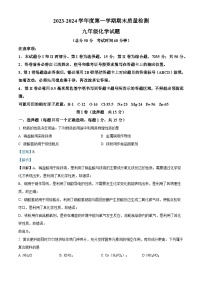 38，山东省济宁市高新区2023-2024学年九年级上学期期末考试化学试卷