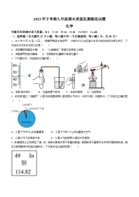 湖南省娄底市新化县2023-2024学年九年级上学期期末化学试题