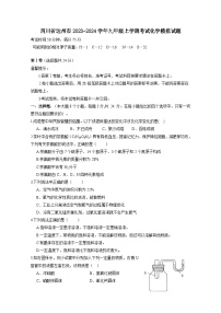 四川省达州市2023-2024学年九年级上册考试化学模拟试题+（附答案）