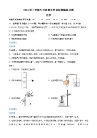 湖南省娄底市新化县2023-2024学年九年级上学期期末化学试题