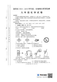 河南省洛阳市2023-2024学年九年级上学期期末化学试题