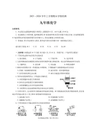 河南省平顶山市郏县2023-2024学年九年级上学期期末学情检测化学试题