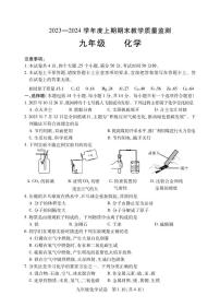 河南省信阳市潢川县2023-2024学年九年级上学期期末化学试题