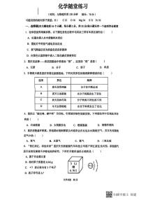 重庆市鲁能巴蜀中学2023-2024学年九年级下学期开学考试化学试题