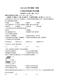 海南省琼中县2023-2024学年九年级上学期1月期末化学试题