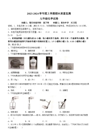 江西省宜春市高安市2023-2024学年九年级上学期1月期末化学试题