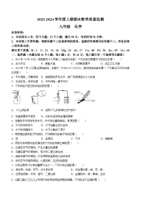 +河南省信阳市潢川县2023-2024学年九年级上学期期末化学试题