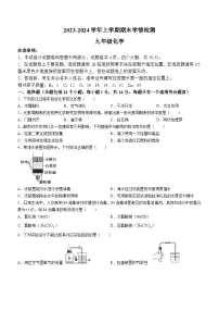河南省平顶山市郏县2023-2024学年九年级上学期期末学情检测化学试题