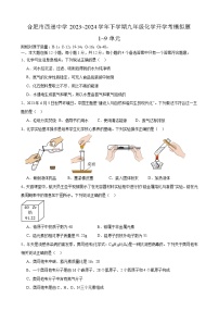 安徽省合肥市西递中学2023_2024学年九年级下学期化学开学考模拟试题