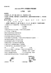 河南省郑州市新郑市2023-2024学年九年级上学期1月期末化学试题