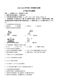 江西省赣州市大余县2023-2024学年九年级上学期期末检测化学试卷