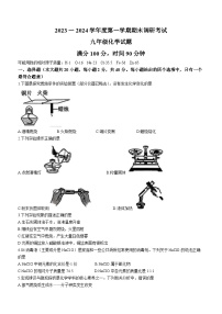 河北省保定市清苑区2023-2024学年九年级上学期期末化学试题