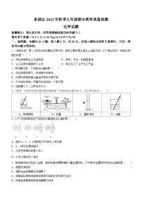 福建省泉州市泉港区2023-2024学年九年级上学期1月期末化学试题