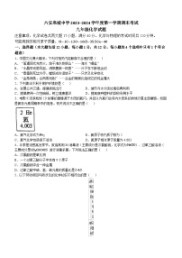 47，安徽省六安市金安区六安皋城中学2023-2024学年九年级上学期1月期末化学试题()