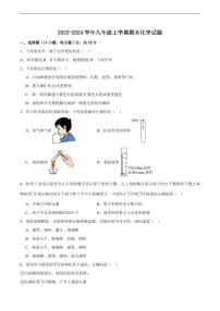 河南省安阳市部分学校2023-2024学年九年级上学期期末化学试题