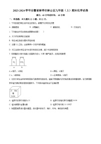 安徽省蚌埠市蚌山区2023-2024学年九年级上学期1月期末化学试题（原卷+解析）