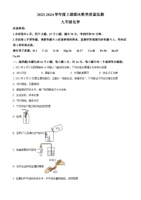 河南省信阳市固始县2023-2024学年九年级上学期1月期末化学试题（原卷+解析）