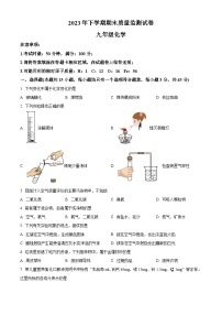 湖南省长沙市浏阳市2023-2024学年九年级上学期1月期末化学试题（原卷+解析）