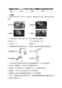 福建省宁德市2023-2024学年九年级上学期期末质量检测化学试卷(含答案)