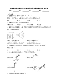 福建省泉州市南安市2024届九年级上学期期末考试化学试卷(含答案)