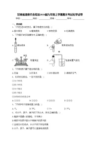 甘肃省酒泉市金塔县2024届九年级上学期期末考试化学试卷(含答案)