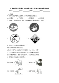 广东省茂名市茂南区2024届九年级上学期12月月考化学试卷(含答案)