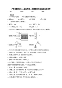 广东省阳江市2024届九年级上学期期末质量监测化学试卷(含答案)